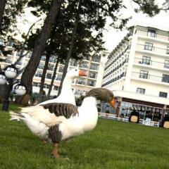 Отель Palmet Beach Resort Кемер с домашними животными
