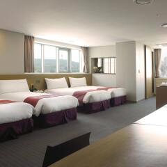 Hotel PJ Myeongdong комната для гостей фото 3