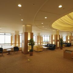 Hotel Mt. Fuji Яманакако интерьер отеля