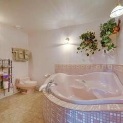Отель Amethyst Inn at Regents Park Канада, Виктория - 1 отзыв об отеле, цены и фото номеров - забронировать отель Amethyst Inn at Regents Park онлайн бассейн
