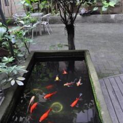 The Loft Hostel