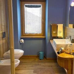 Отель Agriturismo Gli Elfi Италия, Сен-Кристоф - отзывы, цены и фото номеров - забронировать отель Agriturismo Gli Elfi онлайн ванная