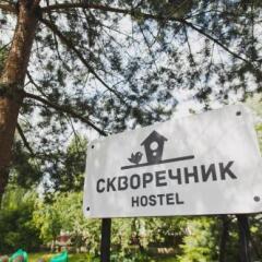 Хостел Скворечник Калининград приотельная территория