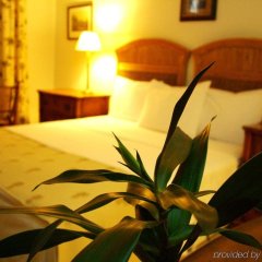 Grenadine House in Kingstown, St. Vincent and the Grenadines from 167$, photos, reviews - zenhotels.com room amenities