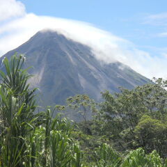 Отель Arenal Tropical Garden Эль-Кастильо фото 10