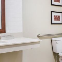 Comfort Suites Manheim - Lancaster in Leola, United States of America from 150$, photos, reviews - zenhotels.com bathroom