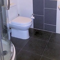 Отель Apple House Guesthouse Wembley ванная