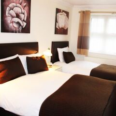 Roseview Alexandra Palace Hotel комната для гостей фото 2