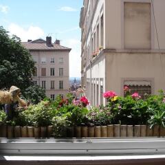Отель Chambres Les Soyeuses Франция, Лион - отзывы, цены и фото номеров - забронировать отель Chambres Les Soyeuses онлайн балкон