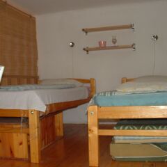 Ace Hostel детские мероприятия