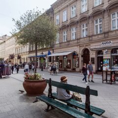 Отель Vaci 51 Apartment Венгрия, Будапешт - отзывы, цены и фото номеров - забронировать отель Vaci 51 Apartment онлайн фото 4