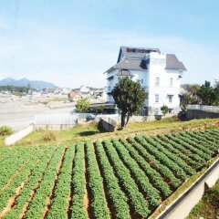 Отель Lys Villa Вьетнам, Далат - отзывы, цены и фото номеров - забронировать отель Lys Villa онлайн пляж фото 2