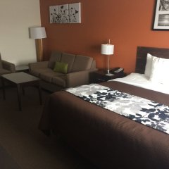 Sleep Inn & Suites and Conference Center Downtown in Indianapolis, United States of America from 141$, photos, reviews - zenhotels.com guestroom