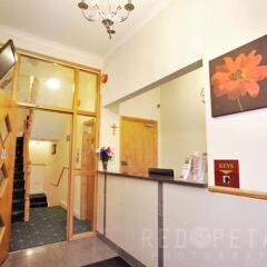 Отель Elmwood Hotel Великобритания, Лондон - отзывы, цены и фото номеров - забронировать отель Elmwood Hotel онлайн интерьер отеля фото 3