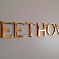 Hotel Beethoven фитнесс-зал фото 2