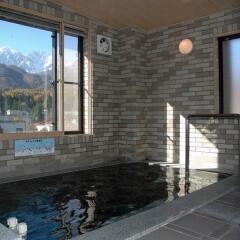 Hotel Hakuba Berg-Land Хакуба бассейн фото 2