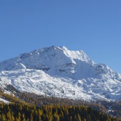 Отель Europa -St. Moritz Швейцария, Санкт-Мориц - отзывы, цены и фото номеров - забронировать отель Europa -St. Moritz онлайн фото 2