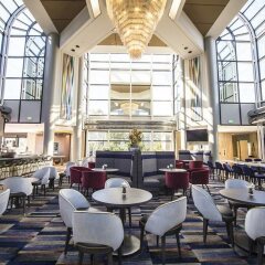 Отель Hilton Universal City Лос-Анджелес гостиничный бар