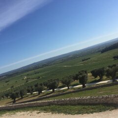 Отель Masseria Amastuola Wine Resort Криспьяно приотельная территория