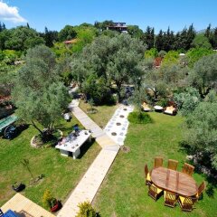 Отель Olive Farm Of Datca Guesthouse - Adults Only Датча фото 10