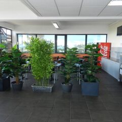 Отель Tahiti Airport Motel Французская Полинезия, Фааа - 1 отзыв об отеле, цены и фото номеров - забронировать отель Tahiti Airport Motel онлайн интерьер отеля фото 3