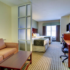 Отель Comfort Suites Vicksburg США, Виксбург - отзывы, цены и фото номеров - забронировать отель Comfort Suites Vicksburg онлайн комната для гостей фото 5