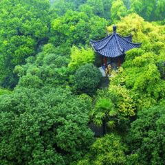 Shangri-La Hotel, Hangzhou фитнесс-зал фото 3