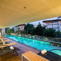 Aster Hotel And Residence Паттайя с домашними животными