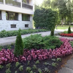 Отель Cottage Sanatorium Belorusija Латвия, Юрмала - отзывы, цены и фото номеров - забронировать отель Cottage Sanatorium Belorusija онлайн фото 9