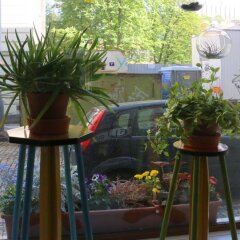 Отель Hostel Boudnik Чехия, Прага - 1 отзыв об отеле, цены и фото номеров - забронировать отель Hostel Boudnik онлайн балкон