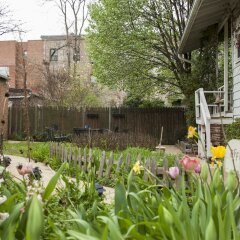 Отель Adams Inn США, Вашингтон - отзывы, цены и фото номеров - забронировать отель Adams Inn онлайн фото 6