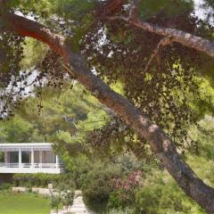 Отель Arion Astir Palace Athens Греция, Афины - 1 отзыв об отеле, цены и фото номеров - забронировать отель Arion Astir Palace Athens онлайн фото 2