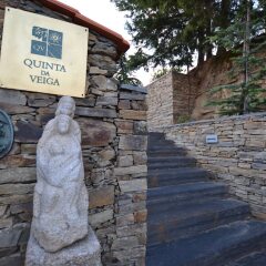 Отель Quinta da Veiga Саброза с домашними животными