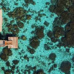 Отель Tahiti Ia Ora Beach Resort Managed By Sofitel Пунаауиа фото 6