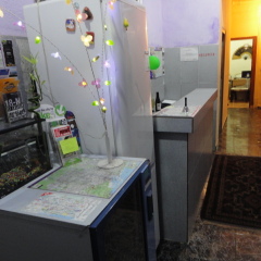 Hostel Razio в номере