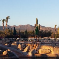 Отель Los Cabos Golf Resort Кабо-Сан-Лукас приотельная территория фото 2