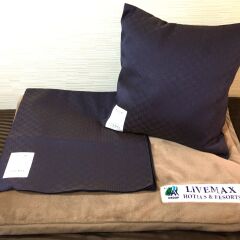 Hotel Livemax Tokyo Bakurocho Токио удобства в номере