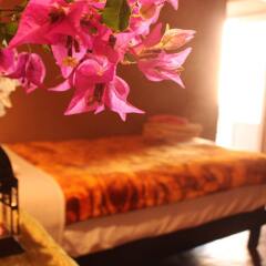 Отель Riad Dar Zaouia Марокко, Загора - отзывы, цены и фото номеров - забронировать отель Riad Dar Zaouia онлайн развлечения