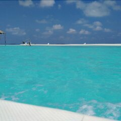 Maldives Dive Loabi in Fenfushi, Maldives from 441$, photos, reviews - zenhotels.com photo 4