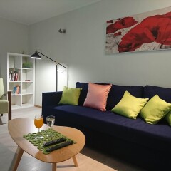 Отель City Center Apartment Raua Эстония, Таллин - отзывы, цены и фото номеров - забронировать отель City Center Apartment Raua онлайн фото 3