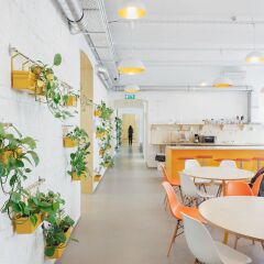 Flow Hostel гостиничный бар