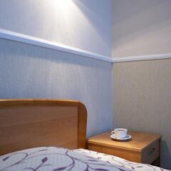 Izmailovsky Hotel удобства в номере фото 2