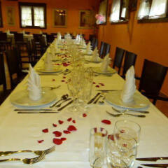 Hotel Camping Bielsa