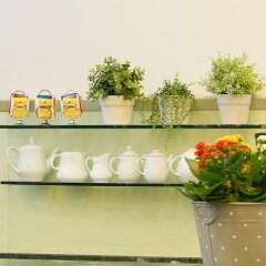 Hotel Torino Парма приотельная территория