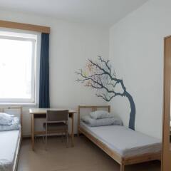 Hostel Marmota комната для гостей фото 4