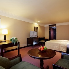 Twin Towers Hotel комната для гостей фото 5