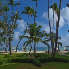 Отель Vista Sol Punta Cana Beach Resort & Spa - All Inclusive пляж