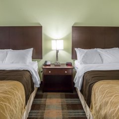 Comfort Inn Lexington South in Nicholasville, United States of America from 120$, photos, reviews - zenhotels.com guestroom