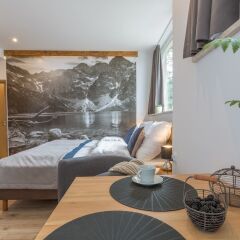 Отель Stacja Zakopane - Apartamenty w Centrum спа