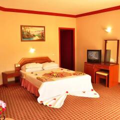Mustis Royal Plaza Hotel Турция, Кумлюбюк - отзывы, цены и фото номеров - забронировать отель Mustis Royal Plaza Hotel онлайн удобства в номере